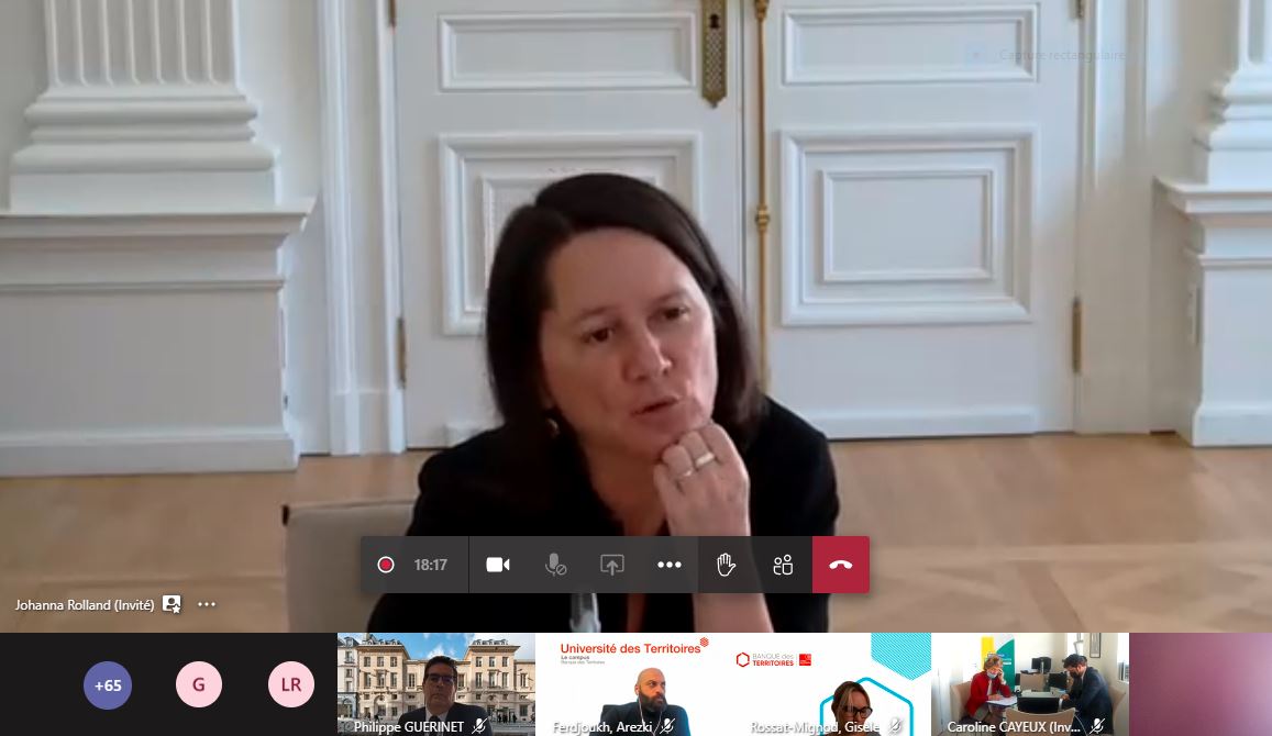 Capture écran de la visioconférence, montrant la maire de Nantes, Johanna Rolland, en train d'intervenir.